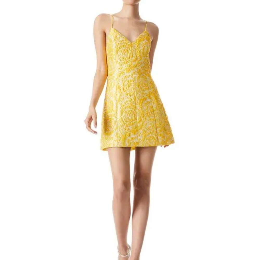 Alice + Olivia NEW Mini Semi Dress